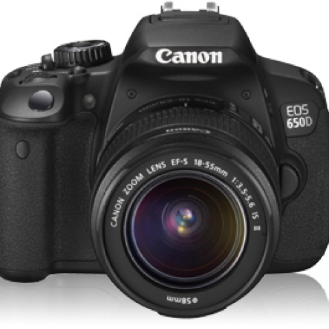 Canon Professional Digital SLR Camera EOS 650D with 18-55mm Lens (DAME) - Black
