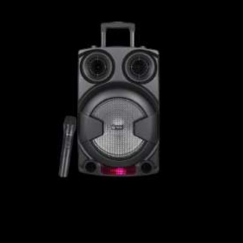 ROYAL SOUND RS 1034 10 INCH TROLLEY SPEAKER