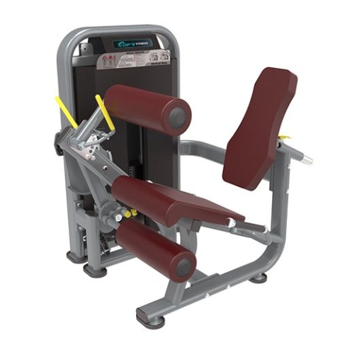 TECHNO FITNESS DFT-1692 LEG CURL+LEG EXTENSION