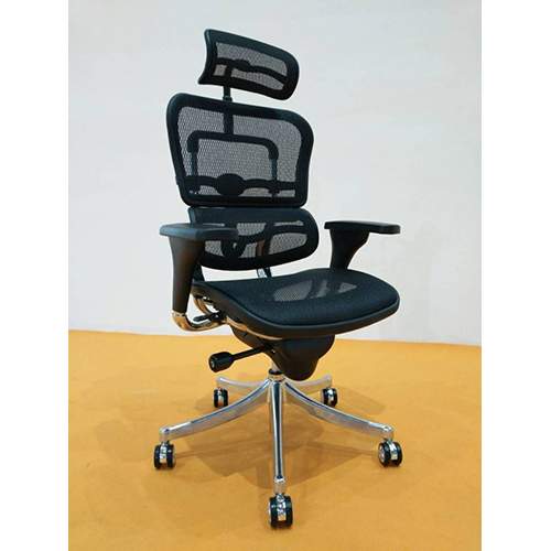 DELUXE EXECUTIVE OFFICE MESH CHAIR WITH HEAD REST LEATHER DEL 213 - Medium