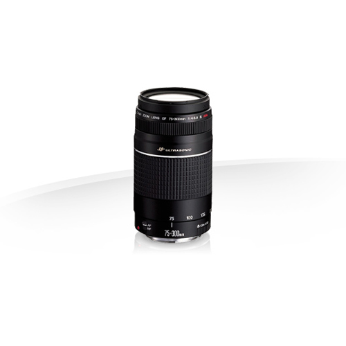 CANON PROFESSIONAL DIGITAL EF75-300mm LENS (DAME) 