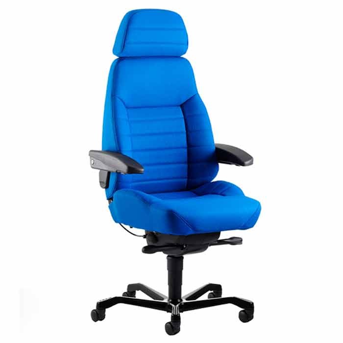 Executive Ergonomic Chair (Orthopedic)