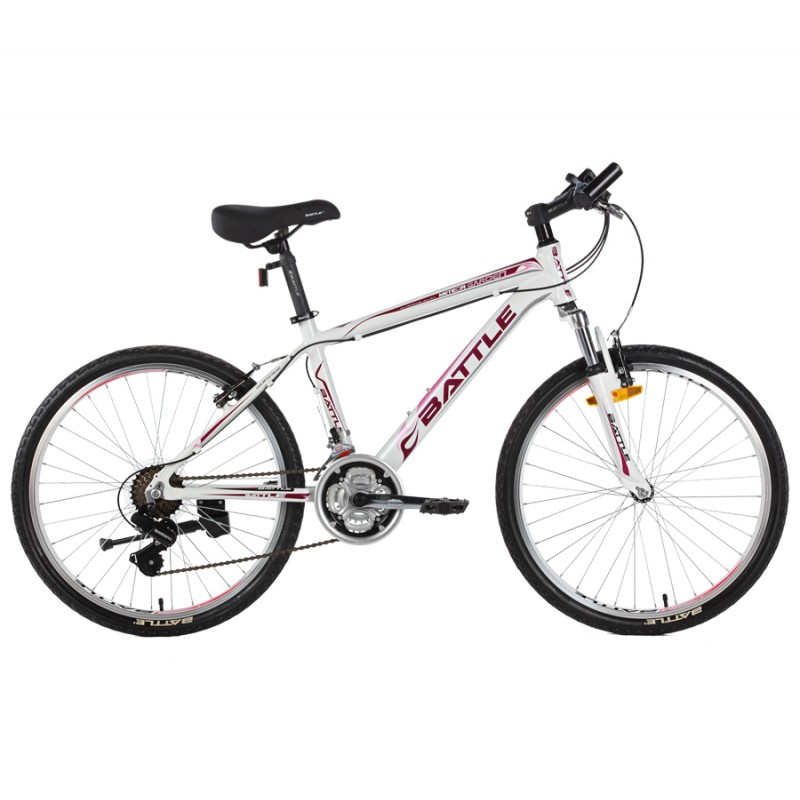 GATEGOLD 450-24IN / GG-450 24INOUTDOOR SPORTS BIKE-deluxe.com.ng