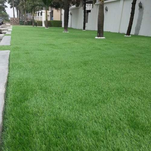 HOUSEHOLD TURF 003 - Medium