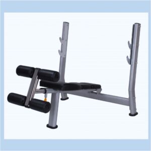LITE FITNESS WT-A51 DECLINE WEIGHT BENCH (PREMIUM)-deluxe.com.ng