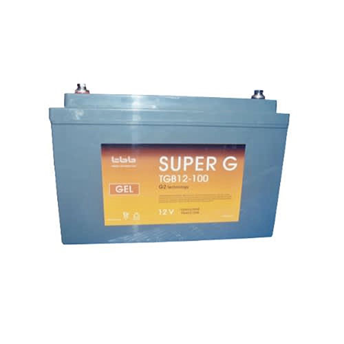 Mercury 12V, 100AH GEL Battery