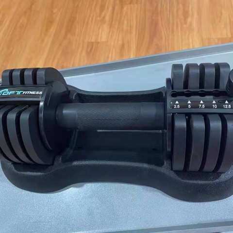 GateGold 12.5kg adjustable dumbbell set (dft012) -deluxe.com.ng