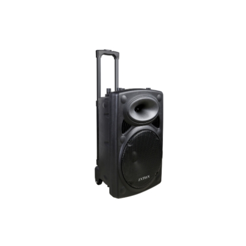 ROYAL SOUND RS 1504L 15 INCH TROLLEY SPEAKER