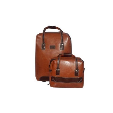 Fashion luggage 2-Piece Set (leather) (BETH) 