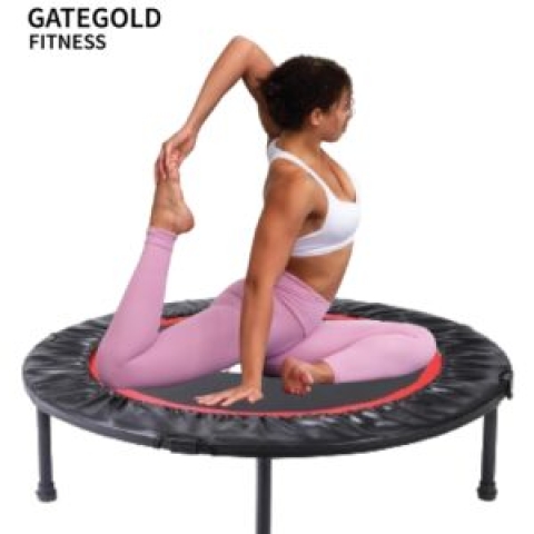 GateGold TP100 Mini Trampoline (Diameter 100cm) 