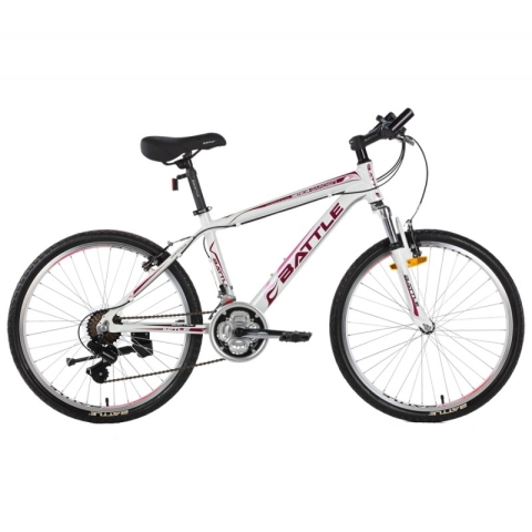 GATEGOLD 450-24IN / GG-450 24INOUTDOOR SPORTS BIKE-deluxe.com.ng