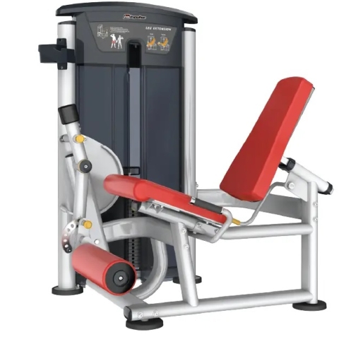 IMPULSE FITNESS IT9505 LEG EXTENSION-deluxe.com.ng