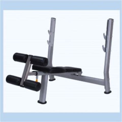 LITE FITNESS WT-A51 DECLINE WEIGHT BENCH (PREMIUM)-deluxe.com.ng