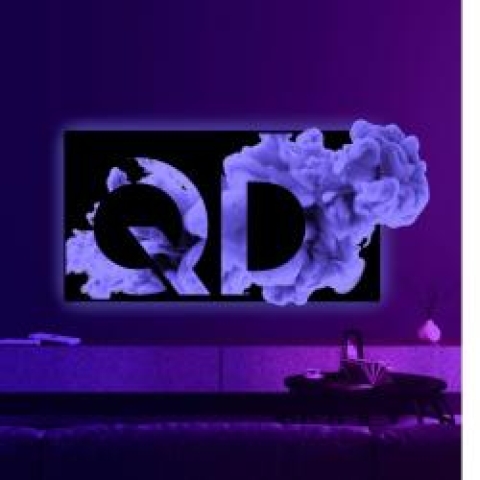 SAMSUNG 55 INCH QD DISPLAY SCREEN | QA55S90CAU,55